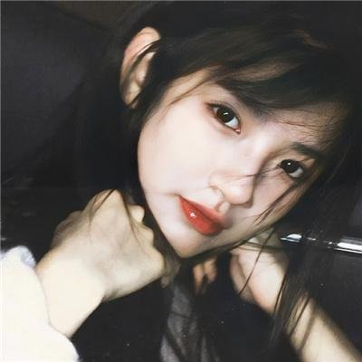 科搜研之女第23季